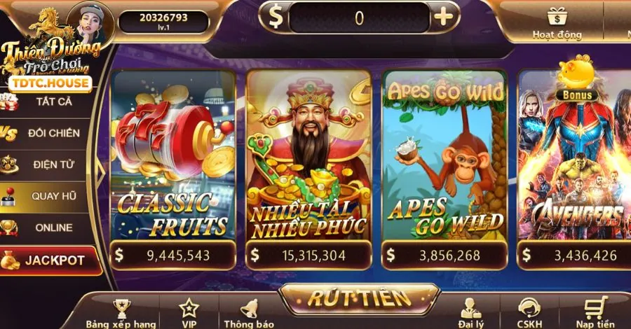 Tổ chức hỗ trợ cờ bạc chuyên nghiệp